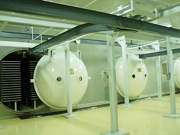 Máy sấy đông lạnh thực phẩm
